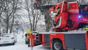 Read more about the article TH 1 – Oberwiesenthal – Baum