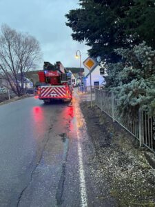 Read more about the article TH 1 – Crottendorf – Baum droht zu fallen